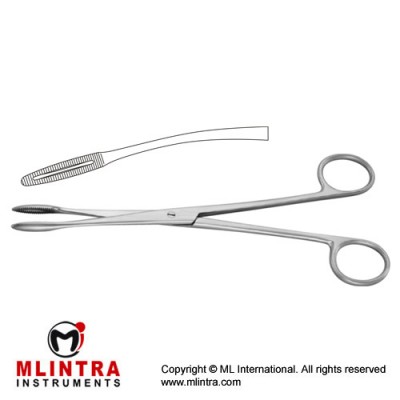 Gross-Maier Dressing Forcep Curved - Without Ratchet Stainless Steel, 21.5 cm - 8 1/2"